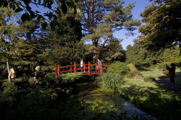 Irish National Stud & Japanese Gardens (Afternoon)