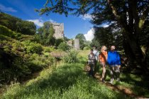 Blarney Castle Gardens