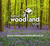 Donation to Native Woodland Trust