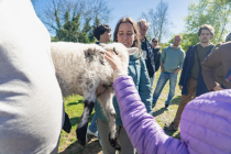 Glendalough & Wicklow Mountains Tour from Dublin
