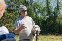 Glendalough & Wicklow Mountains Tour from Dublin