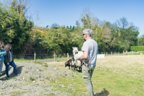 Glendalough & Wicklow Mountains Tour from Dublin